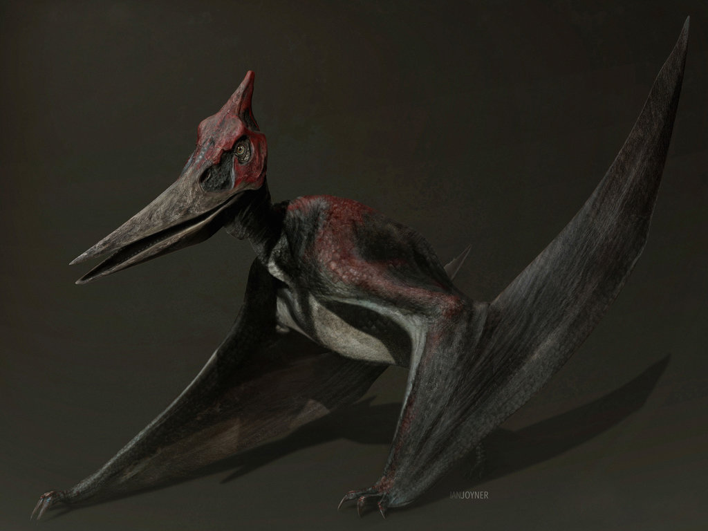 jurassic world concept art pteranodon by indominusrex dbichd7