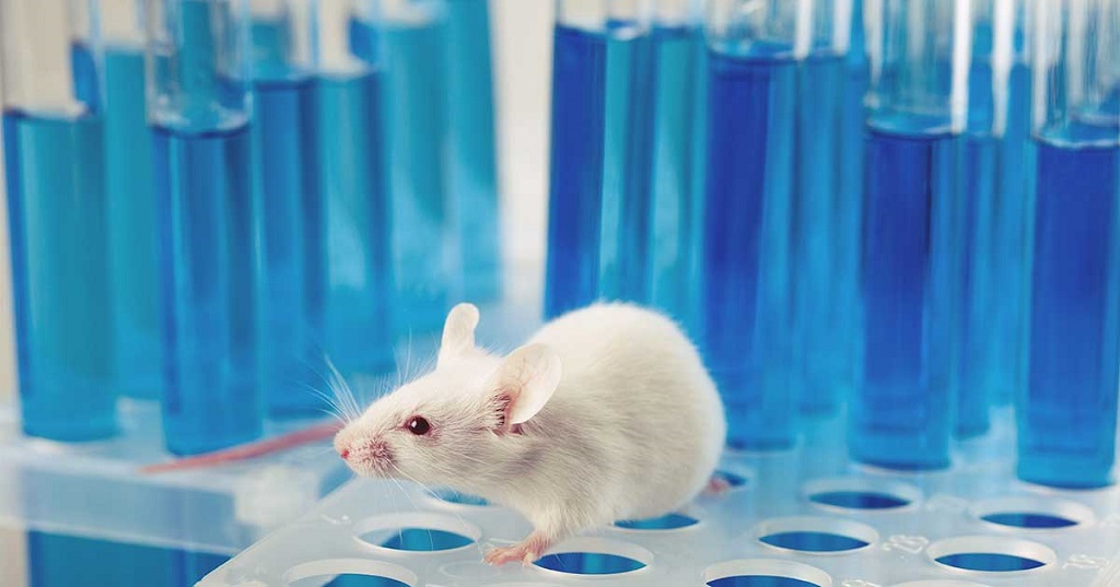 sperimentazione animale topo da laboratorio